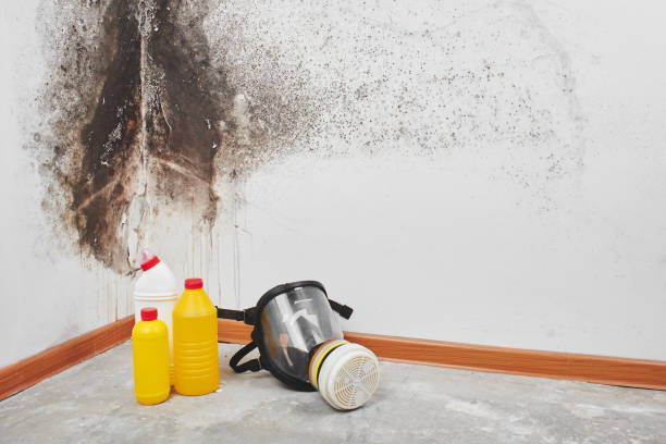 Best Mold Remediation for Schools in Glasgow, OR