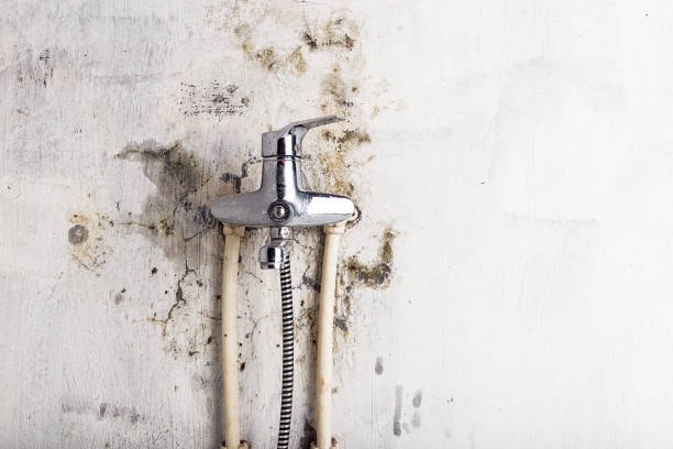 Best Kitchen Mold Remediation in Glasgow, OR