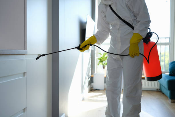 Best Commercial Mold Remediation in Glasgow, OR