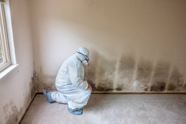 Best Mold Remediation for Specific Building Types in Glasgow, OR